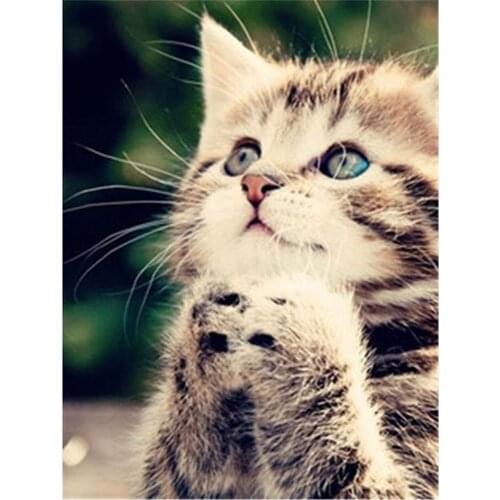 Lovely Cat Animal DIY Embroidery Cross Stitch 11CT Kits Needlework Craft Set Cotton Thread Printed Canvas Home Wholesale