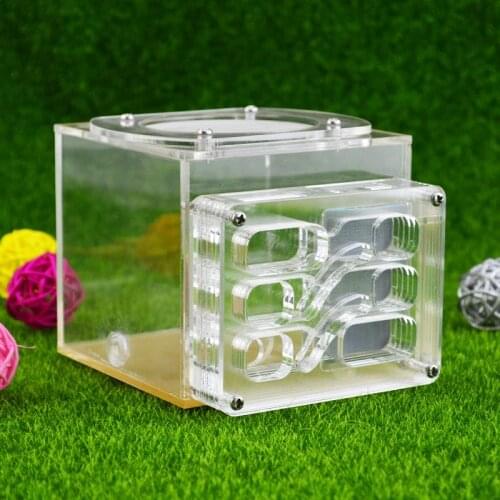 11.7*8.6*9.5cm ant farm acryl, ant nests villa new pet advanced ants fram mania house insects ants Breeding