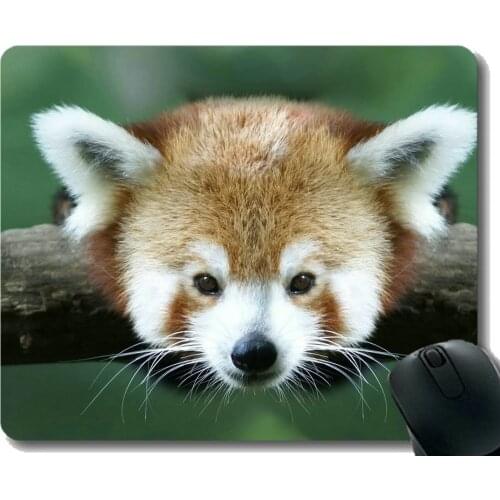 Mouse Pad with Stitched Edge,bed Animal cute little panda face ,Mouse Mat,Non-Slip Rubber Base Mousepad for Laptop,Computer