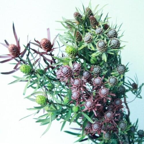 Dried Flowers Bouquet Wedding Party Decoration DIY Floral Arrangement Accessories Natural Plants