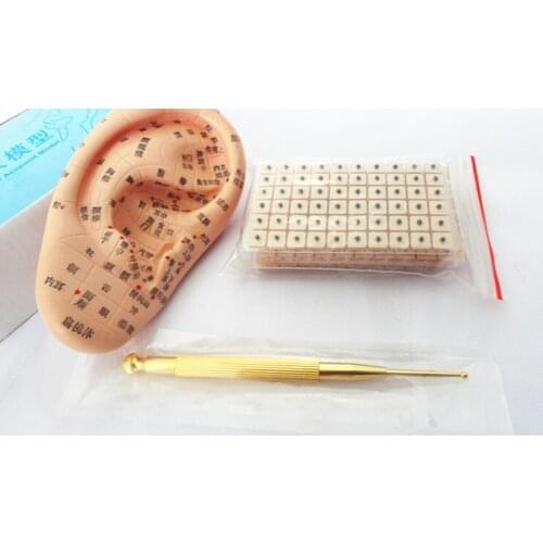 Free shipping 13cm ear press seed Auricular Vaccaria seed with ear probe ear model acupuncture needle ear bead slimming body