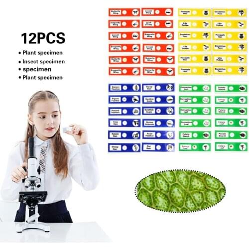 12pcs Prepared Plastic Microscope Slides Biological Specimen for Children Student Enlighten Education