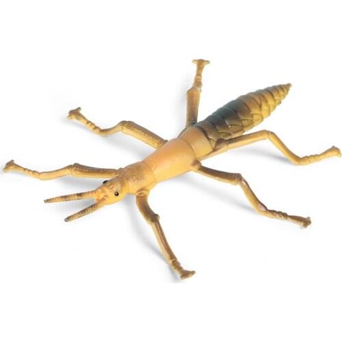 Simulation Insect Animal Action Figures Collection PVC Toy Kids Gift Stick Insects Model Action Figure