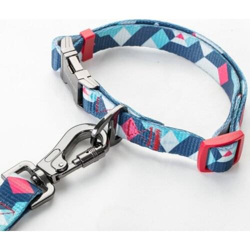 Design Sublimation Printing Plain Nylon Pet Custom Wholesale Personalized Logo Cat Dog Collar And Leash Set