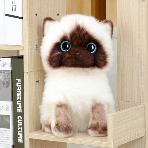 Lovely cartoon cat simulation cat Thailand Siamese plush toy soft doll kids toy Christmas gift b1722