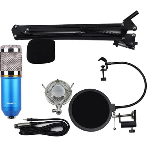 Professional Karaoke Microphone Set with Shock-proof Holder Gold Edition