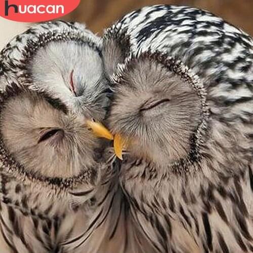 HUACAN 5d Diy Diamond Painting Full Square New Arrival Diamond Embroidery Owl Diamond Mosaic Display Pictures Of Rhinestones