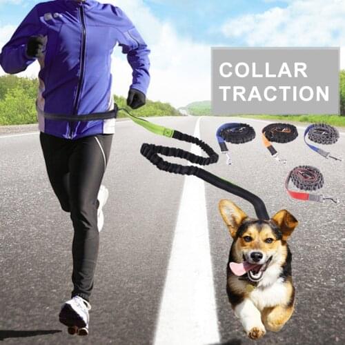 2021 New Traction Rope Pet Dog Running Belt Elastic Hands Freely Jogging Pull Dog Leash Metal D-ring Leashesrope（124-175CM）belt
