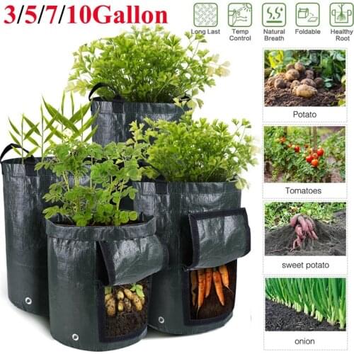 Potato Grow Bag PE Vegetable Onion Plant Bag with Handle Thicken Garden Carrot Taro Peanut Growing Bag Durable Seed Garden Tool