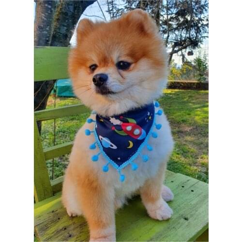 2021 New Dog Bandanas Large Pet Scarf Pet Bandana Dog Cotton Washable Bow Tie Collar Cat Dog Scarf Large Dog Accessories