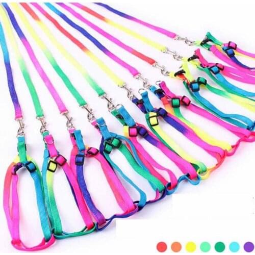 Colorful Rianbow fashion leash for dog cat Pet collar leash cat necklace high quality coleira para cachorro