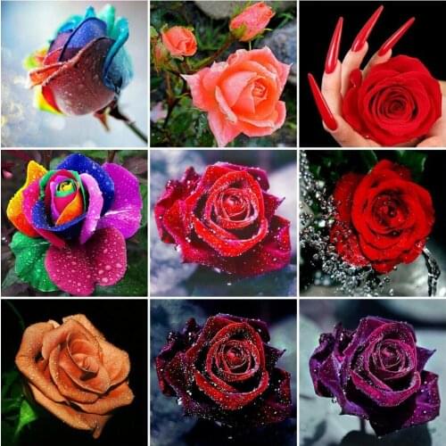 EverShine Diamond Painting Flower Mosaic Diamond Embroidery Rose Rhinestones Art Cross Stitch Needlework New Arrival Handicraft