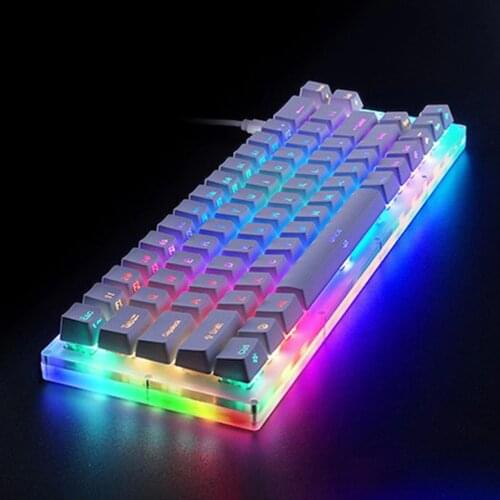 Portable 66 Keys RGB Backlit Hot Swappable 60% Mechanical Gaming Keyboard For Notebook PC Desktop Computer - Black Switch