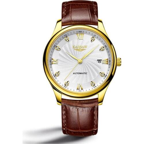 Mens Watch Automatic Mechanical Watch Leather Strap Waterproof Hollow Business Watch Japanese Brand Movement Birthday Gift