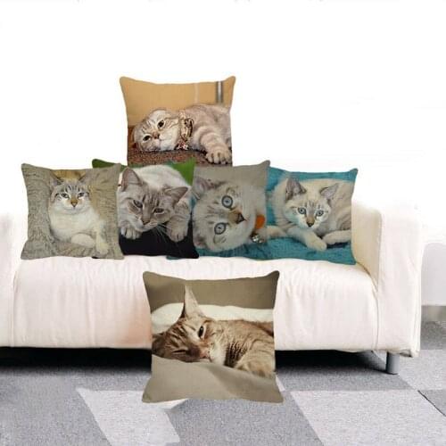 XUNYU Pillow Case Cute Pet Beautiful British Shorthair Cat Cushion Cover Home Decoration Sofa Throw Pillowcase 45cmx45cm B0080