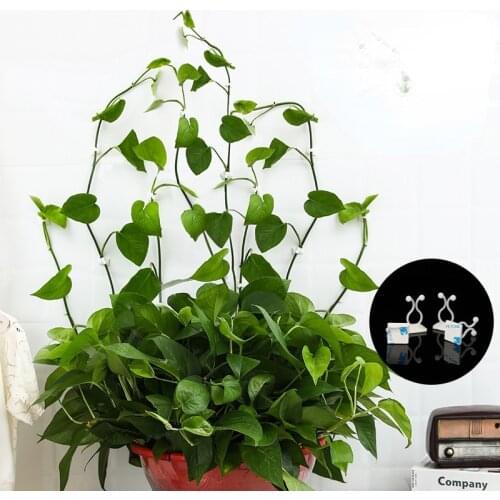 Garden Plant Wall Climbing Vine Clips Plant Climbing Wall Self-Adhesive Fastener Tied Fixture Vine Buckle Hook Plant Accessories