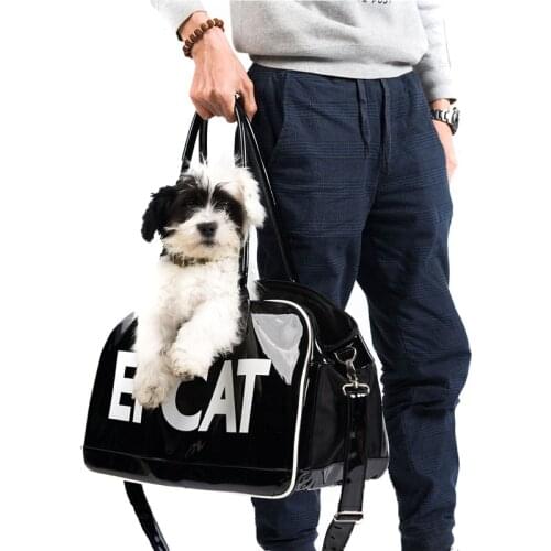 Large Pet Dog Cat Carrier Shoulder Bag Silver Bright Color Fashion Bag Transport Carrying For Puppy Kitty