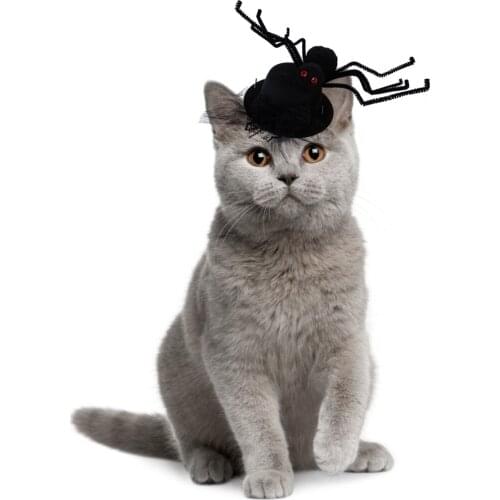 Funny Cute Halloween Pet Hat Decorative Spider Dog Cat Party Hats Cap Pet Costume Cosplay Hat for Cats Dogs Halloween