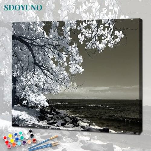 SDOYUNO Paint By Numbers Kits On Canvas Seascape DIY Frame 60x75cm Oil Painting By Numbers Handpaint Scenery Home Decor