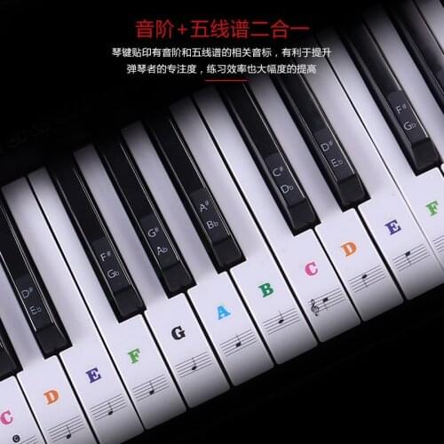 Transparent Piano Keyboard Sticker 49/54/61/88 Key Electronic Keyboard Piano Sticker Key Piano Stave Note Sticker for White Keys