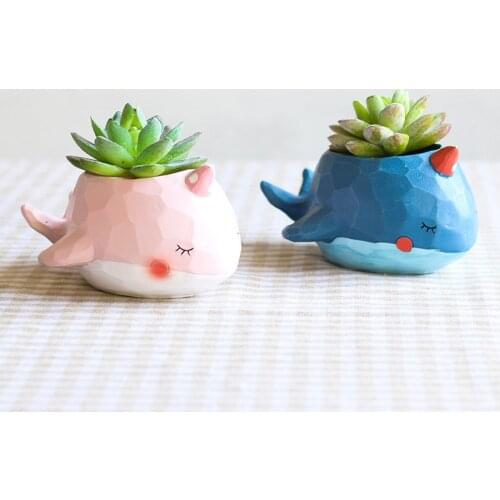 2pcs Little Whales Flower Pots Blue Pink Planters for Succulents Plants Desktop Flowerpots Vases Home Decoration Wedding Gifts