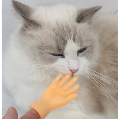 Finger Hand Teaser Rod Funny Pet Stroke Cat Small Gloves Interactive Kitten Playing Wand Sticks Toys Kitten Supplies