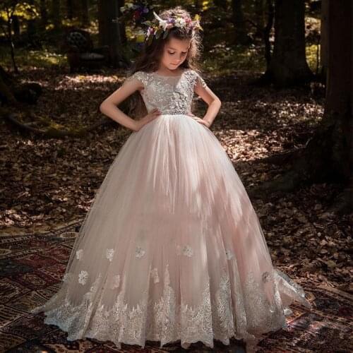 Blush Flower Girl Dresses For Weddings Ball Gown Cap Sleeves Tulle Lace Beaded Long First Communion Dresses For Little Girl