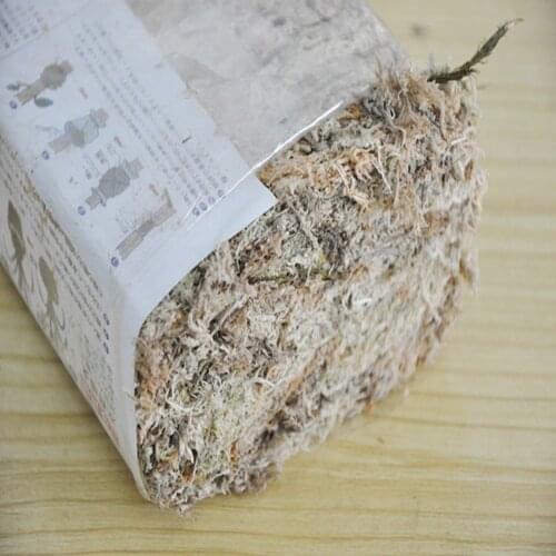 Water Moss Dry Moss Phalaenopsis Orchids Soilless Cultivation Substrate Soil 12L Compressed Pack
