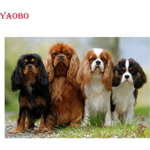 Diy diamond embroidery Cavalier King Charles Spaniel,diamond mosaic dog,full round,cross stitch,rhinestone with diamond painting