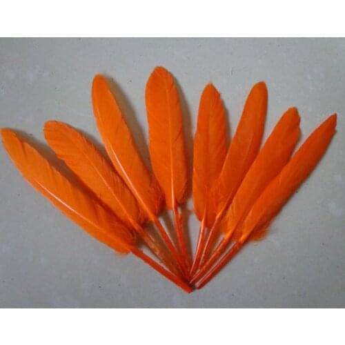 Dyed Beautiful Natural Goose Feathers 4-6 Inch 10-15 cm for Crafts Wedding, Party ,Home ,Hairs Earring Hat DIY Decorations