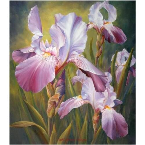 Embroidery Counted Cross Stitch Kits Needlework - Crafts 14 ct Aida DMC color DIY Arts Handmade Home Decor - Iris Days