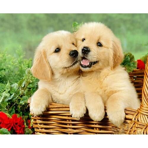 5d Diamond Painting Full Drill Square Dog New Arrivals Diamond Embroidery Animal Home Decoration Handmade