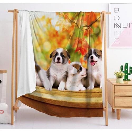 Dog and Cat Mexican Pink Luxury Animal Crossing Fabric Blanket for Bed Custom Photo Weighted Tapestry Throw h Fuzzy Blanket 3