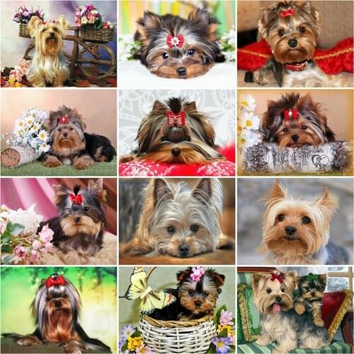 HUACAN 5D Dog Diamond Painting Animal Kits Diamond Embroidery Mosaic Yorkshire Terrier Cross Stitch Home Art