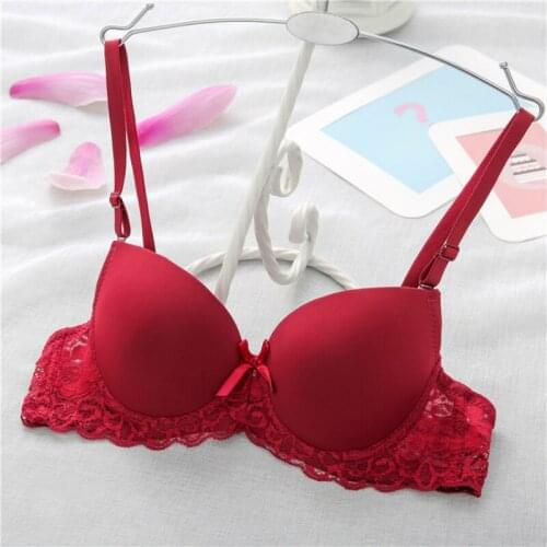 Yasemeen Sexy Push Up Bra Women Lace Bras for Women Embroidery Perspective Underwear Padded Women Brassiere Lingerie Gather