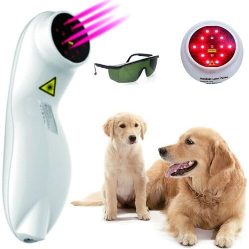 Medical Veterinary Physical Laser Therapy Health Care Home Use Portable LLLT Physiotherapy