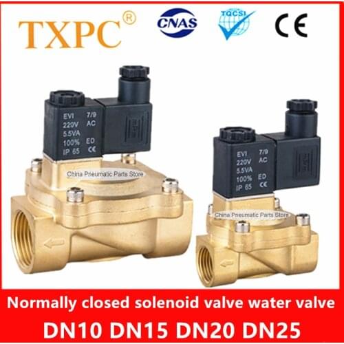 Pilot valve 2V130-15 12V 110V Solenoid valve DN15 DN20 DN25 220V 24V 2V200-20 2V250-25