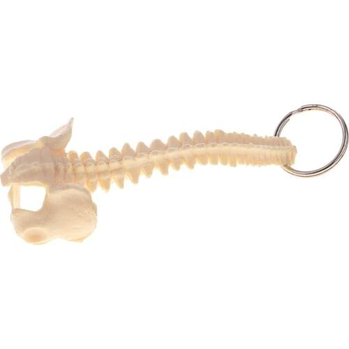 Mini PVC Material Handcrafted Human Spine Skeleton Model Keychain for School Teaching Aid Ornament Novelty Present