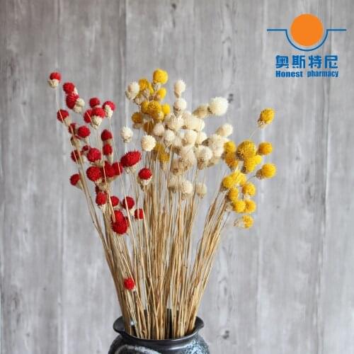 20pcs dried flower bouquets naturally dired Gomphrena globosa bouquets&globe amaranth Flower bunches