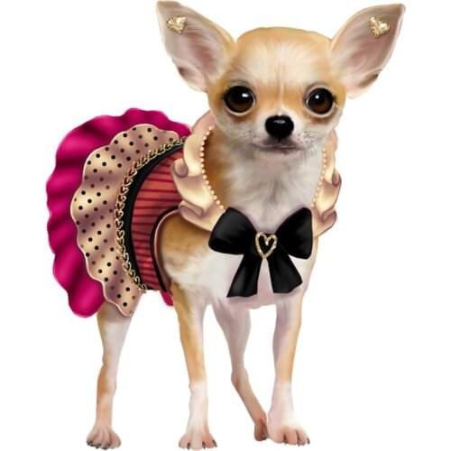 Dawasaru Puppy Chihuahua French Bulldog Car Sticker Waterproof Decal Laptop Truck Motorcycle Auto Accessories PVC,17cm*13cm