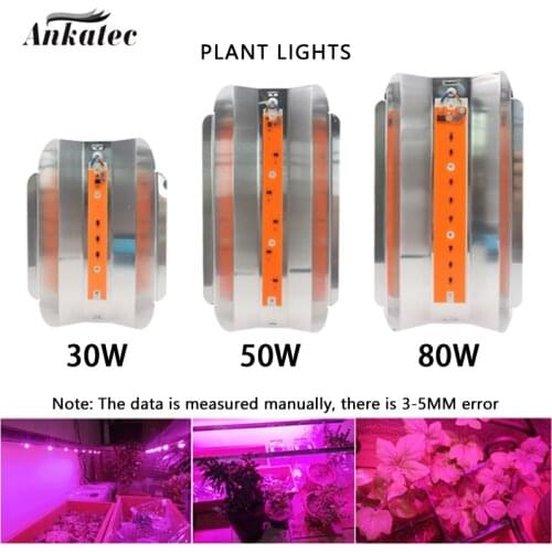 LED Grow Lamp 30W 50W 80W AC220V Full Spectrum LED COB Chip Phyto Lamp For Indoor Plant Seedling Grow and Flower Growth Fitolamp