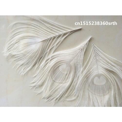 Wholesale perfect 50pcs high quality natural beige Peacock feathers 4-6inch/10-15cm Decorative diy Clothing accessories