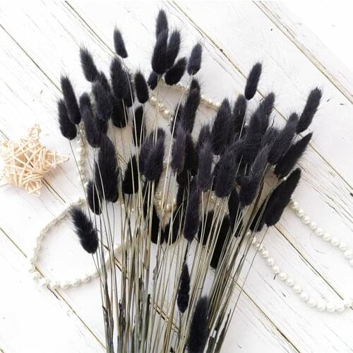 Black Bunny Tail Grass Dried Natural Pampas Grass Flowers Wedding Marriage Decoration Accessories Party Home Living Room Decor