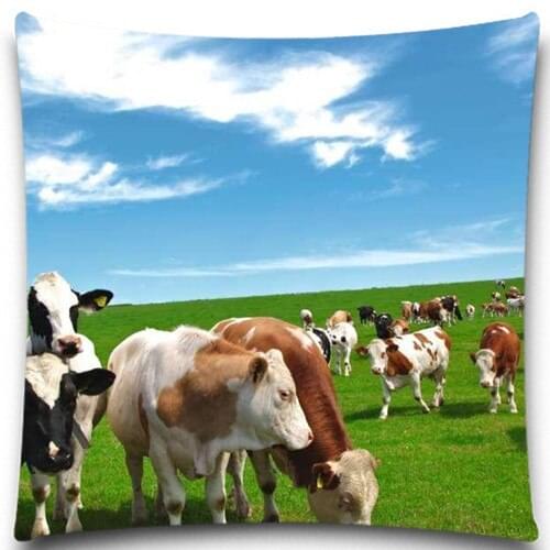 A herd of cows on the grassland Square Cushion Cover Home sofa chair car Textiles kids Gift Bedclothes 5 size 9 style