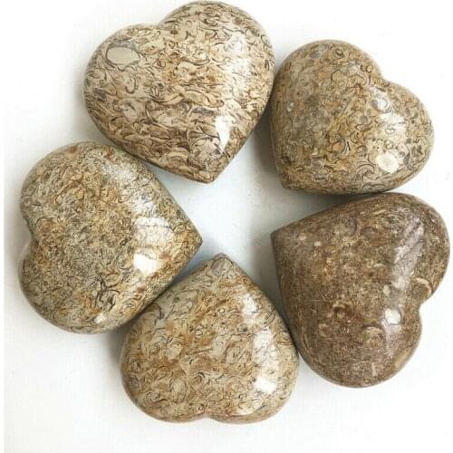 Drop Shipping 1pc Natural Petrified Wood Fossil Heart Polished Quartz Crystal Rock Stone Natural Stone Crystal