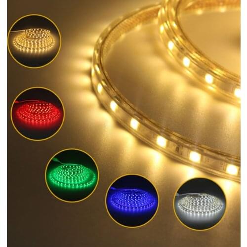 AC110V 220V SMD 5050 LED Strip Waterproof White / Blue / Warm White/Blue/Green 60LEDs/m Flexible Tape Ribbon LED Light Strip