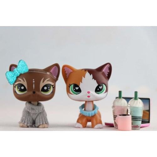 Pets Shop Flame Short Hair Cat With 8pcs Accessories Action Figure Childrens Best Gifts