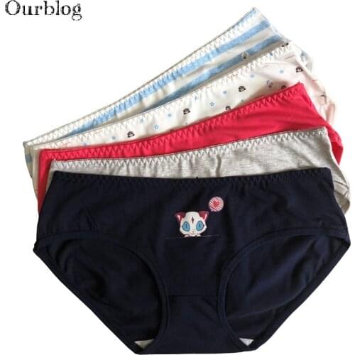 OURBLOG 5pcs/lot Woman Briefs Wholesale Sexy Ladies Underwear Good Quality Floral Printed Cotton Panties For Women