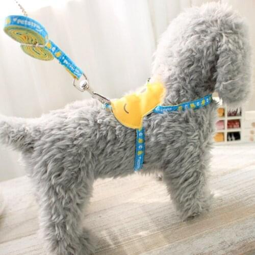 Pet dog leash chest strap cat Teddy small dog pet supplies pet collar cats products for pets cat leash harness