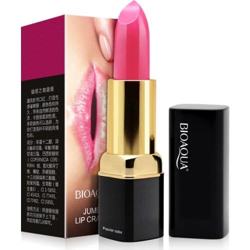 BIOAQUA 10 Different colors optional sexy waterproof moisturizing lip sweet lasting moisture long lasting cosmetics set